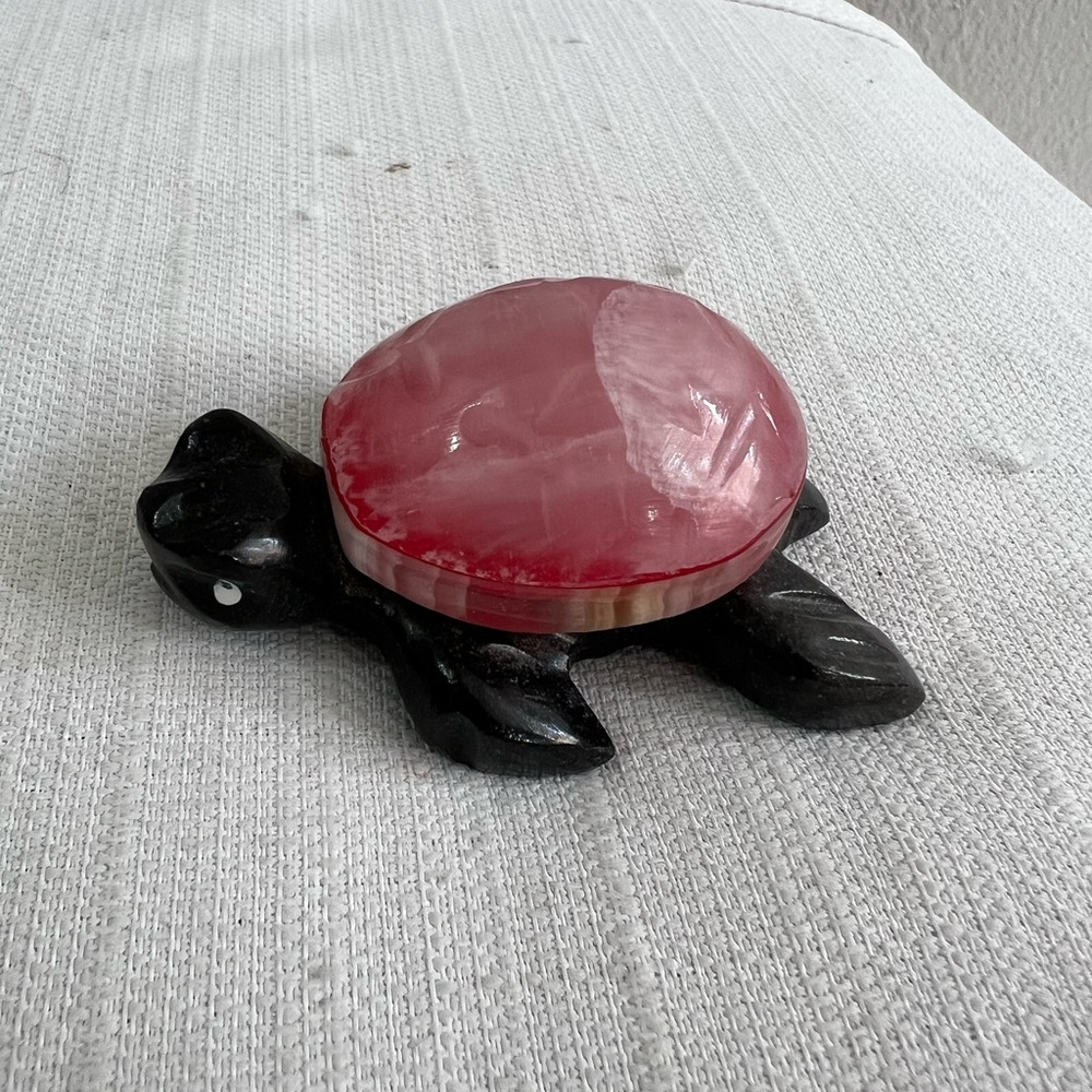 Pink shell‎ turtle